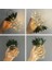 Solar Güneş Enerjili, 30 LED Ananas Bahçe Lambası, IP66 Su Geçirmez, Bahçe, Teras, Veranda, Yol, Ev, Balkon, Çit Aydınlatması, Asılabilir Peri LED Solar Bahçe Aydınlatması 2