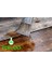 Keten Yağı Resim Yağı Ahşap Koruyucu 250 ml Linseed Oil 2