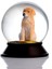 Cam ve Reçine Altın Patiler Köpek Golden Retriever Kar Küresi Hediye 1
