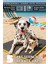 Serin (80X60cm) - 4 Mevsim Kedi/ Köpek Matı, Sıcak Veya Soğuk Kullanılabilen Minder Yatak 2