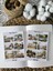 Piknik Temalı Parlak Sticker 01-02 Ajanda Planlayıcı Bullet Journal Için Uygundur 1