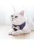 Kedi Tasması ， Yavru Yelek Tipi Göğüs Kayışı Anti-Escape Kedi Tasması (Yurt Dışından) 5