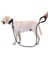 Reflektörlü Köpek Tasması 130 Cm. 2