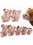 Köpek Koruma Ağızlığı 7'li Set 1