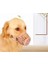Köpek Koruma Ağızlığı 7'li Set 4