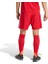 TASTIGO25 Sho M Erkek Futbol Antrenman Şortu JN7157 Renkli 2