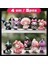 #20 Cosplay Tavşan Sanrio Figürinler Melodi Figürlerim Kuromi Gizem Kutu Model Oyuncaklar Anime Sevimli Cinnamoroll Twin Starscolor: No.4 Mix 4cm/boyut: 1 Set Kutu Yok (Yurt Dışından) 1