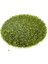 Içten Siyah Boyalı Yeşil (11/0) 2 mm Kum Boncuğu 100 gr 1