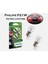 P21W Longlife Ecovision Geri Vites Park Ampül Tek Duy, 12V, 2'li Paket Otomotiv Ampulü 2