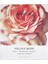 Floral Intense Kokulu Mum Velvet Rose 170 G 3