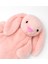 Legosh Pembe Tavşan Figürlü Peluş Su Torbası Kılıfı Sevimli ve Yumuşak Kılıf 4