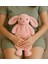 Legosh Pembe Tavşan Figürlü Peluş Su Torbası Kılıfı Sevimli ve Yumuşak Kılıf 5