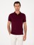 Erkek Bordo Slim Fit %100 Pamuk Polo Yaka T-shirt 50300721-VR014 3