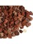Beyaz+Fuşya Petunya (5-20 Cm)+ Curf (2lt) Dış Mekan Bitkisi 4
