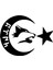 Göktürkçe Ay Yıldız Oto Özel Yeni Sticker Siyah 25 x 20 cm 1