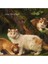 Çerçeveli Vintage Tablo, Kedi Tablosu, Yağlı Boya Tablosu, Çerçeveli Tablo, Sanatsal Dekor 4