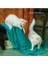 Çerçeveli Vintage Tablo, Yağlı Boya Tablosu, Çerçeveli Tablo, Sanatsal Dekor, Kedi Tablosu 4