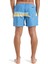 Everyday Straight Volley 15 Erkek Deniz Şortu 2