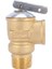 2 Adet 3/4 Inç Npt Kurşunsuz Su Isıtıcı Emniyet Valfi 150 Psi Pirinç Basınç Tahliye Vanası (Yurt Dışından) 4