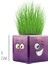 Çim Adam Mini Küp Emoji Figürlü 1 Adet 2