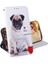Samsung Galaxy Xcover7 5g Kart Yuvaları Manyetik Kapatma Pu Için Flip Case (Yurt Dışından) 5