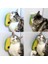 Catnip Toplu Kedi Kaşınma Aparatı 3