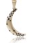 Moon Charm 1