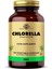 Chlorella 100 Kapsül 1