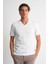 Alexandergardı V Yaka Basic T-Shirt 1