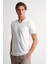 Alexandergardı V Yaka Basic T-Shirt 2
