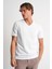 Alexandergardı V Yaka Basic T-Shirt 3