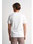Alexandergardı V Yaka Basic T-Shirt 5