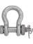 Tonajlı Kilit Omega Somunlu G-209 1 1/4 - 12 Ton 1