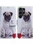 Samsung Galaxy S22 Ultra Cüzdan Boyalı Pu Deri Kart Için Flip Case (Yurt Dışından) 1
