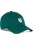 Wardrobe Ess Graphic Dad Cap Şapka 02615503 Renkli 1