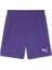 Teamgoal Shorts Erkek Futbol Antrenman Şortu 70575210 Mor 1
