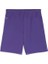 Teamgoal Shorts Erkek Futbol Antrenman Şortu 70575210 Mor 2