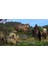 Kingdom Come Deliverance: Royal Edition Switch Oyunu 2
