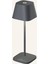 Neapel Mıcro Akülü Masa Lambası, IP65 Korumalı, Dış Mekan, 20 cm 1