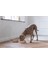 Dbl Köpek Yavaş Besleme Mama Kabı, Bambu, Bej, 21CM, 1430ML 4