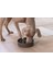 Dbl Köpek Yavaş Besleme Mama Kabı, Bambu, Antrasit, 21CM, 1430ML 5
