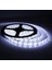 Global Kendal Kcl 005 Şerit LED 1
