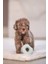 Köpek Oyuncağı, Sesli, Donut, Lateks, Çeşitli Renklerde, 7X7X3CM Bstmy 2