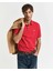 Polo Yaka Regular T-Shirt 1