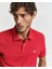 Polo Yaka Regular T-Shirt 2