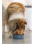Dbl Köpek Mama Su Kabı, Mat Siyah Paslanmaz Çelik, 20CM, 1,9l 2