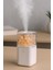 Uzun Çiçekli 300ml Ledli Hava Nemlendirici 2