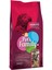 Pets Famıly Papağan Yemi 600G Bstmy 1