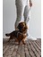 Dbl Köpek Göğüs Tasması, Velur, Gri, S, 20MM x 52CM Bstmy 2
