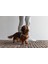 Dbl Köpek Göğüs Tasması, Velur, Gri, S, 20MM x 52CM Bstmy 3